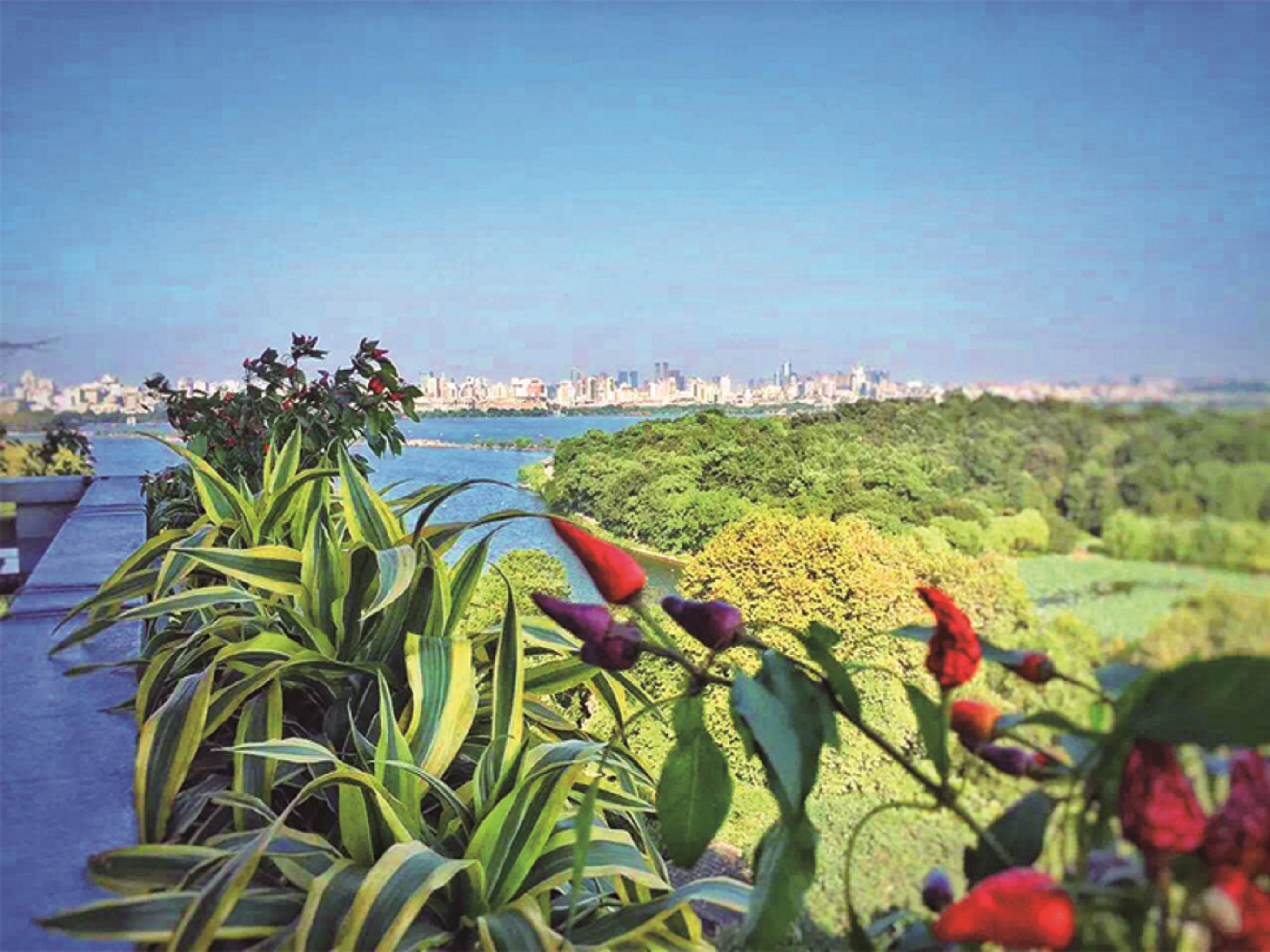 Hotel Shangri-la - The Back Garden Of West 5*